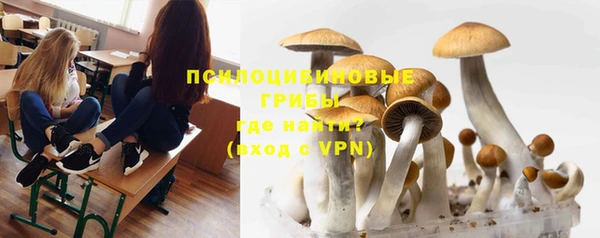 крисы Кинешма